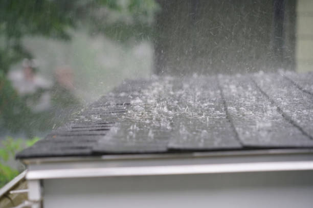 Best Storm Damage Roof Repair  in Blaine, MN